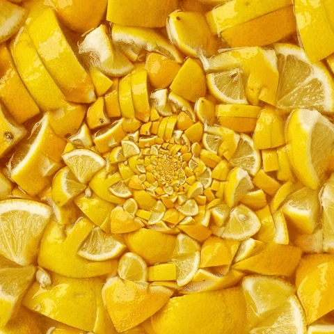 Lemon infused oil Gustami citrus Italian condiment - Premium aromatic lemon oil - Italian lemons