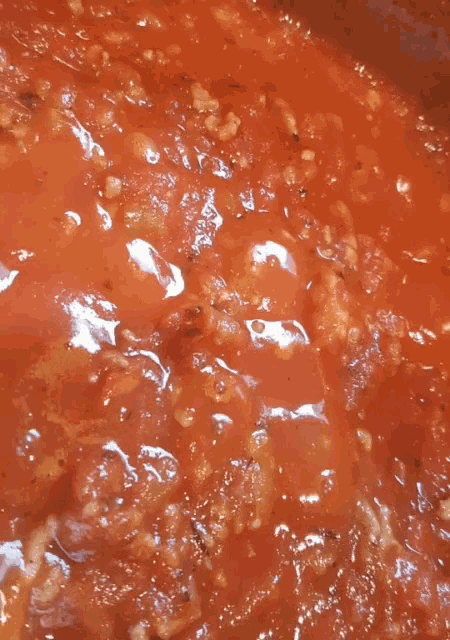 Wild boar ragu Italian artisanal sauce premium traditional gourmet recipe - Authentic game meat culinary excellence by Vitalitaly