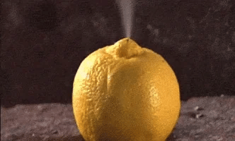 Lemon infused oil Gustami citrus Italian condiment - Premium aromatic lemon oil - Lemon taste explosion