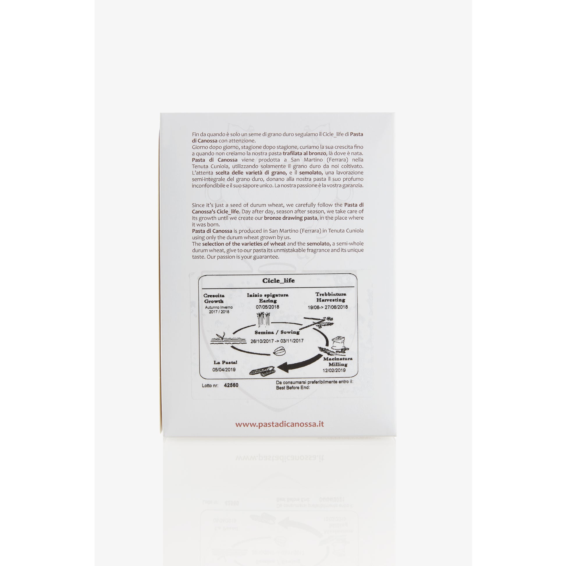 Paccheri pasta Italian artisanal 500g - Premium durum wheat large-flat tube pasta - Cycle life