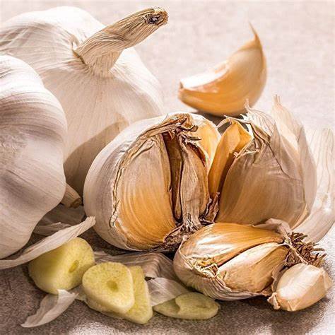 Hvidløg italiensk frisk naturlig premium ingrediens autentisk kvalitet - Vitalitaly frisk hvidløg italiensk ingrediens produkter