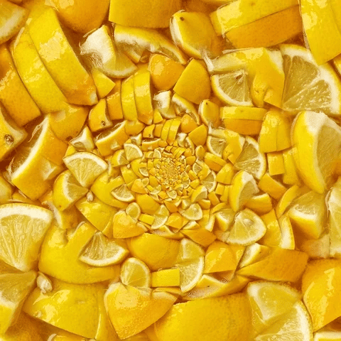 Zitronen-Olivenöl extra vergine aus Italien – Natürliches Zitronenöl mit frischen italienischen Zitronen – Premium Gewürzöl