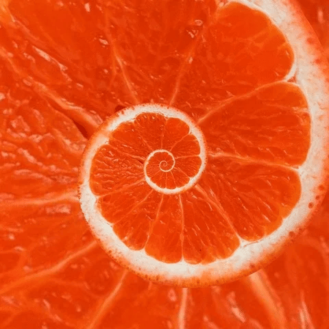 Orange sweet and sour dressing – alternative view of premium Italian citrus condiment, no added sugar, handcrafted by Vitalitaly
