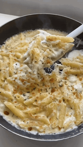 Pennoni pasta italiensk håndlavet 500g store rør alfredo gratin dansk - Premium danske italienske pasta kvalitet by Vitalitaly