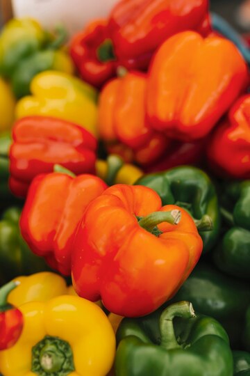 Pepper pesto Italian sauce - Premium vegetable-based gourmet condiment - Main ingredient