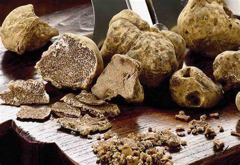 Premium weiße Trüffel — europäisches Gourmet-Luxusprodukt für Trüffel-Balsamico-Perlen, handwerkliche italienische Spezialität von Vitalitaly