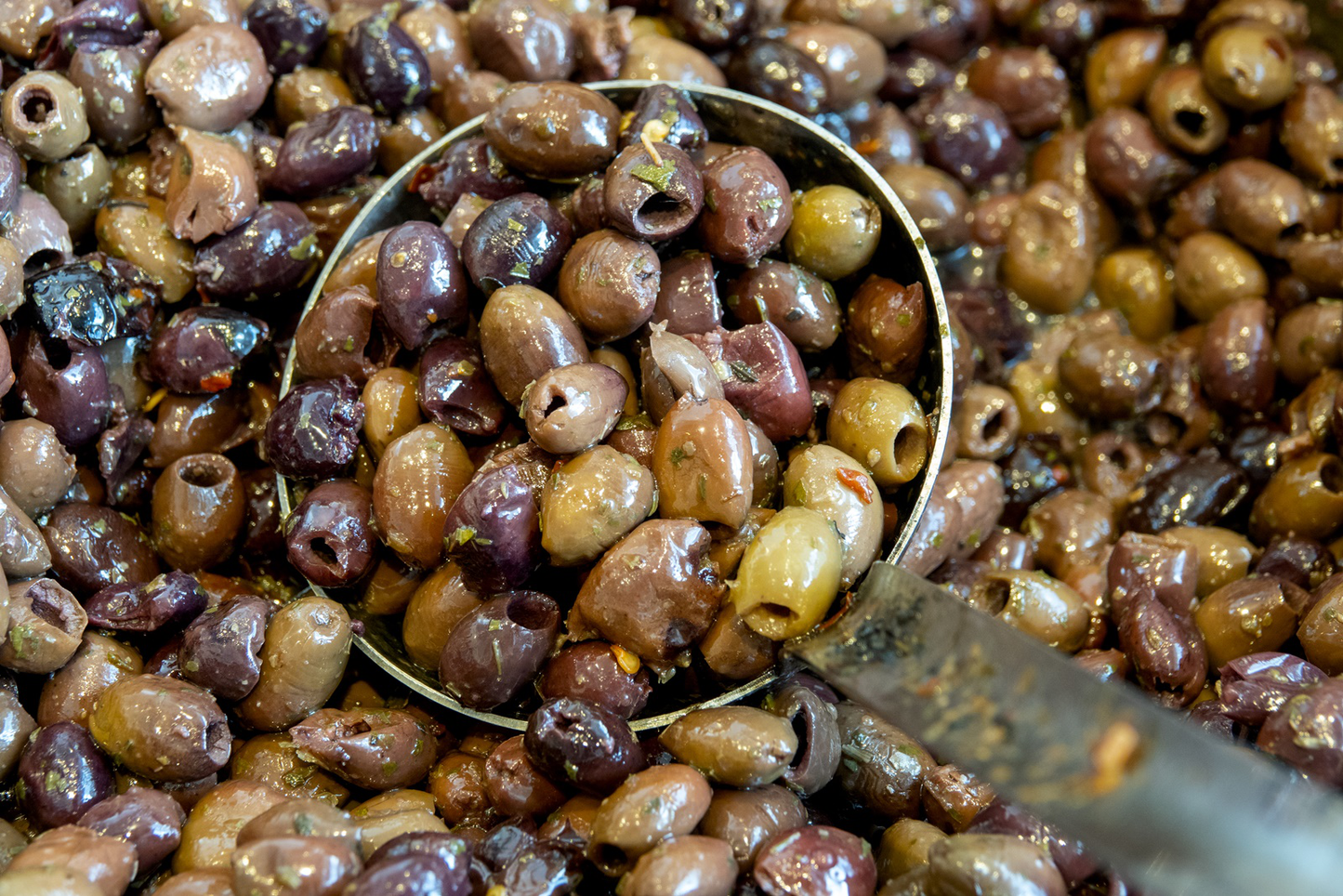 Tutto Leccino BIO organic extra virgin olive oil 500ml - Premium certified organic Italian oil - Garnished olives