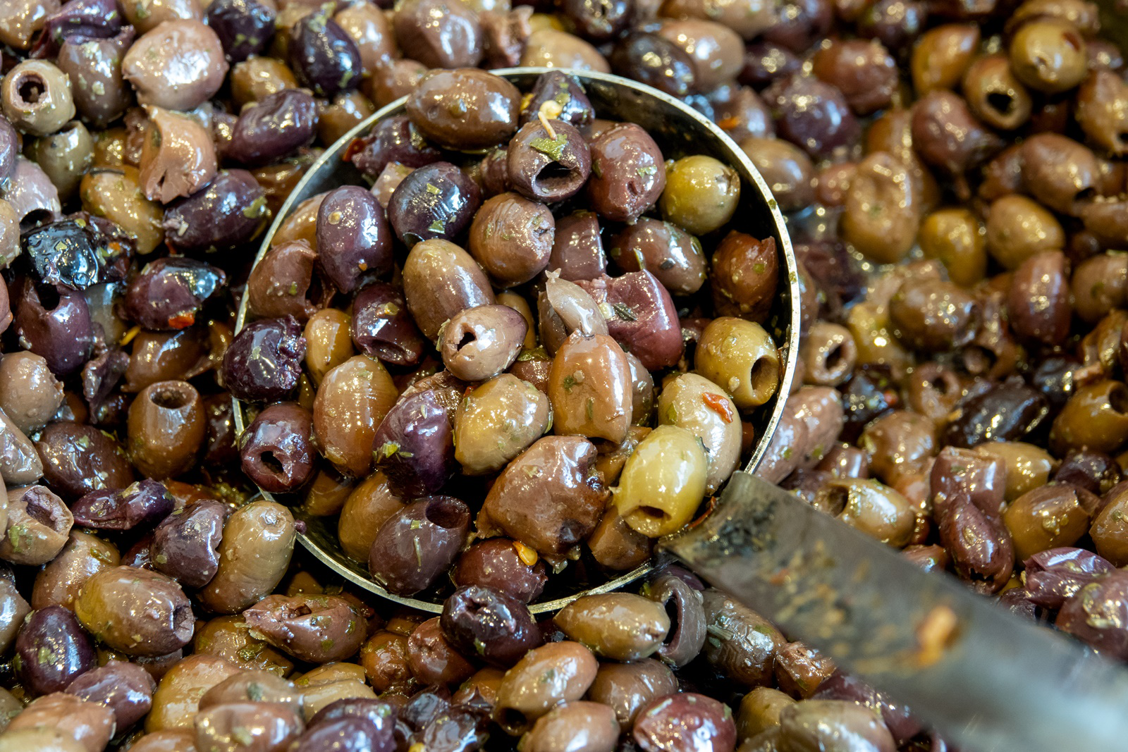 Tutto Leccino BIO organic extra virgin olive oil 500ml - Premium certified organic Italian oil - Garnished olives