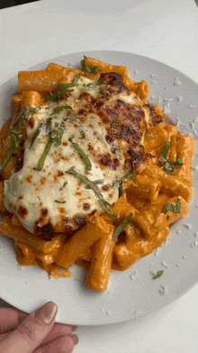 Vitalitaly Pennoni al forno — Baked Italian pasta recipe with bronze-drawn artisan tubes, rich sauce and golden crust